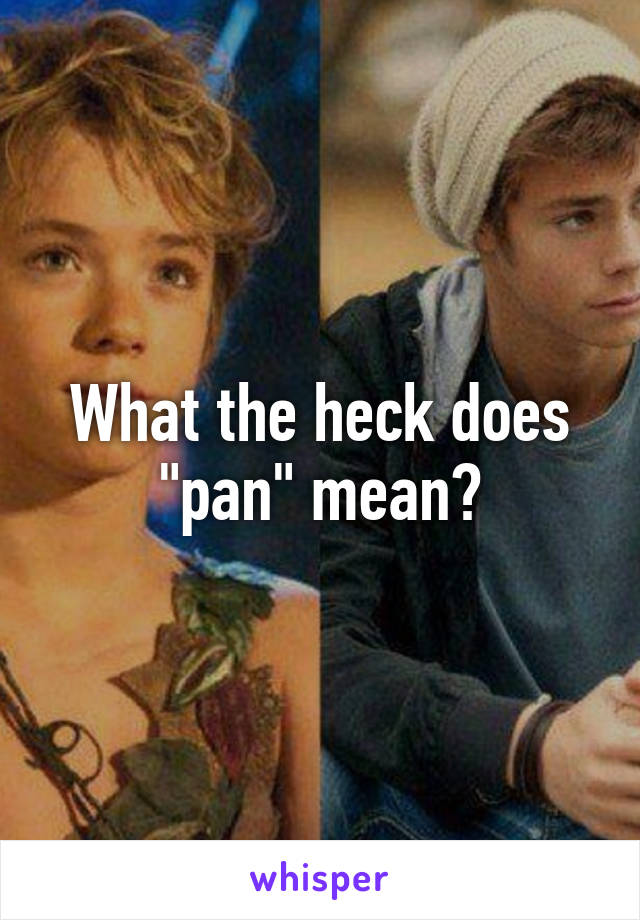 What the heck does "pan" mean?