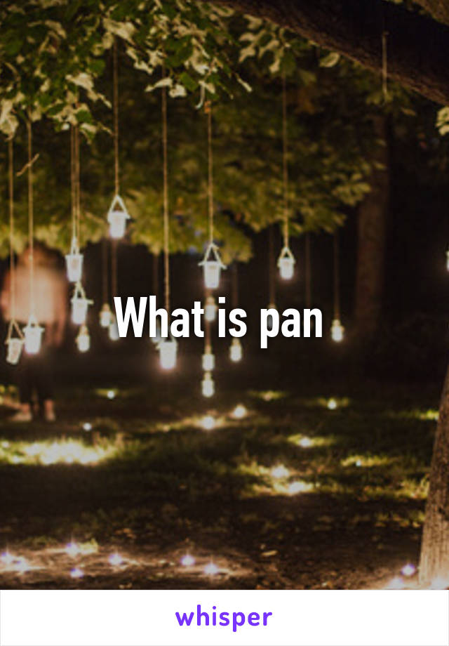 What is pan 