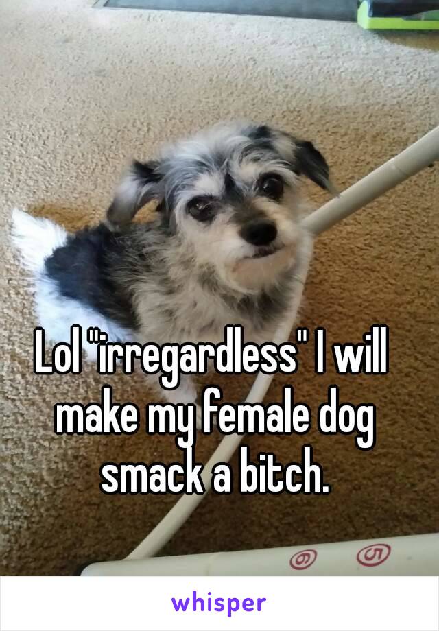 Lol "irregardless" I will make my female dog smack a bitch.