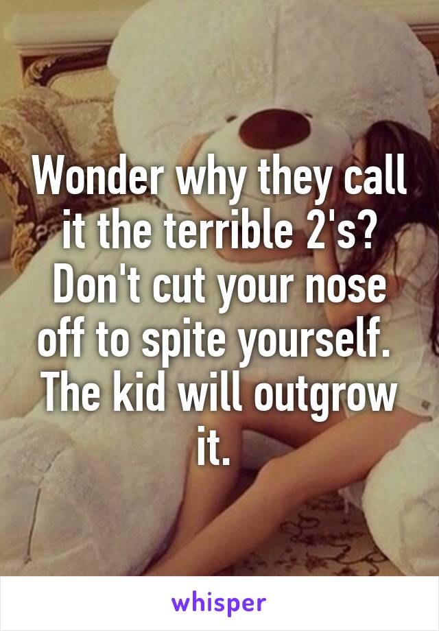 Wonder why they call it the terrible 2's?
Don't cut your nose off to spite yourself. 
The kid will outgrow it. 