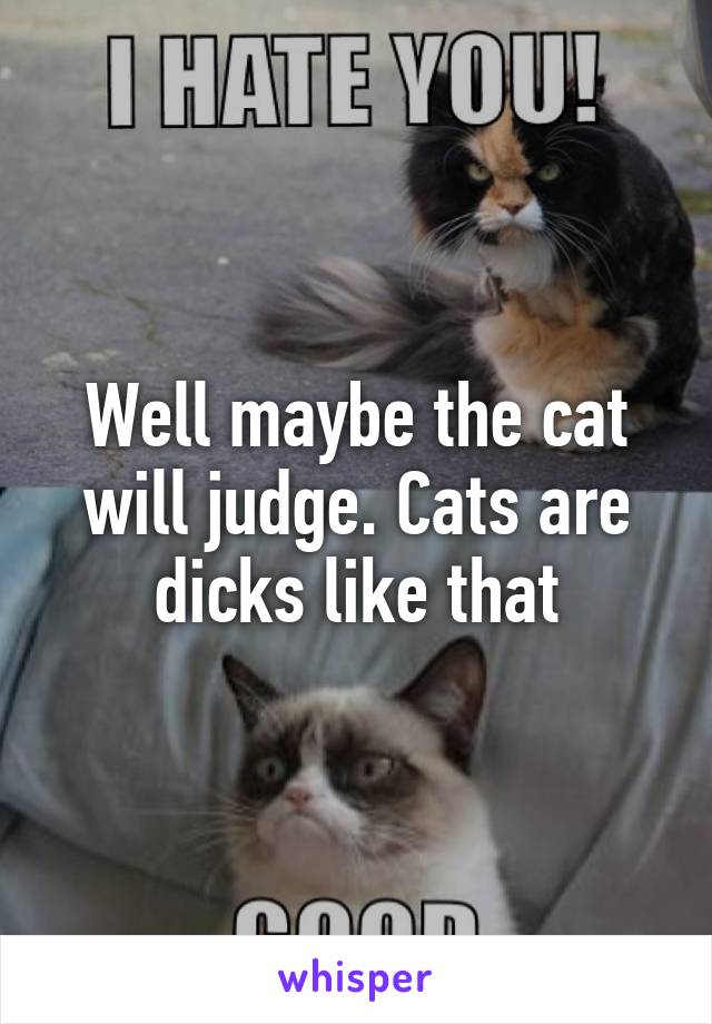 Well maybe the cat will judge. Cats are dicks like that