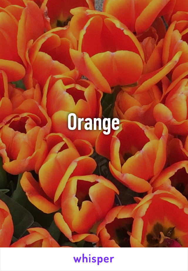 Orange
