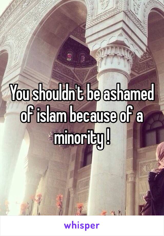 You shouldn't be ashamed of islam because of a minority !