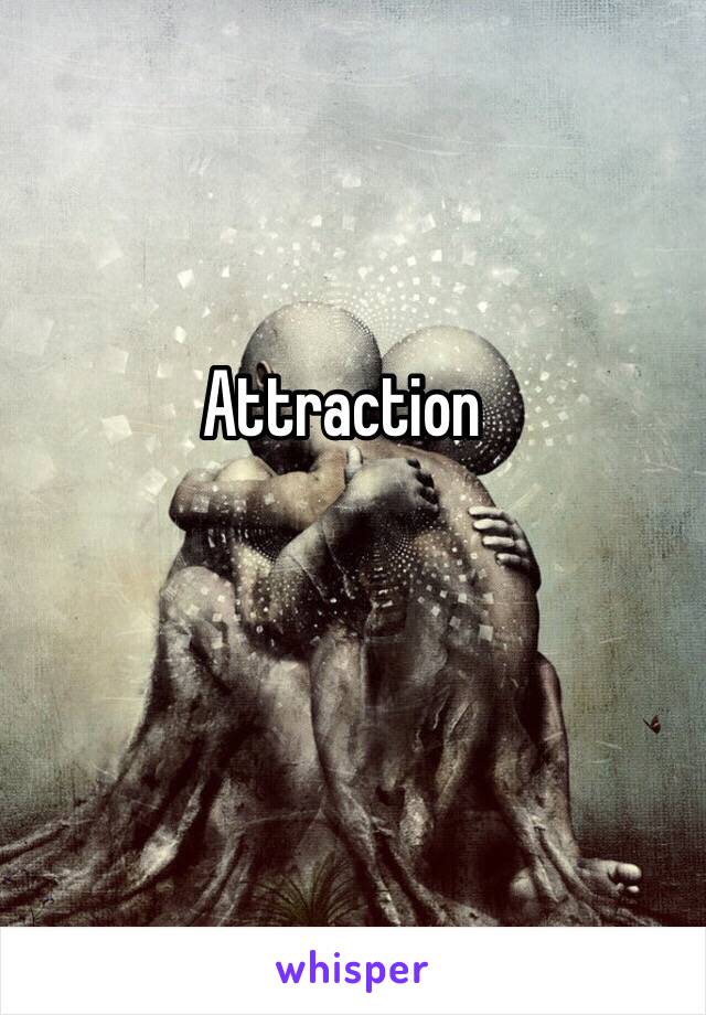 Attraction