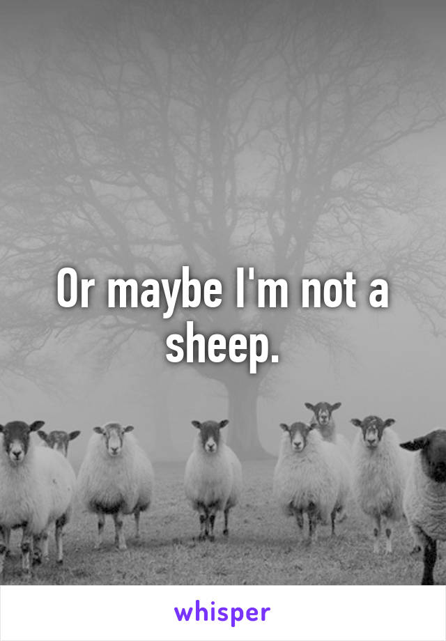 Or maybe I'm not a sheep.