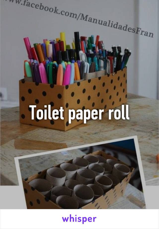 Toilet paper roll