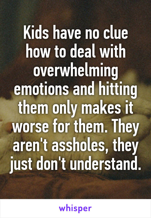 Kids have no clue how to deal with overwhelming emotions and hitting them only makes it worse for them. They aren't assholes, they just don't understand. 