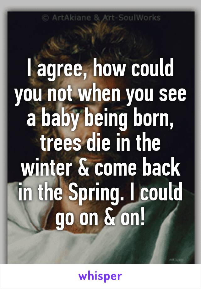 I agree, how could you not when you see a baby being born, trees die in the winter & come back in the Spring. I could go on & on!