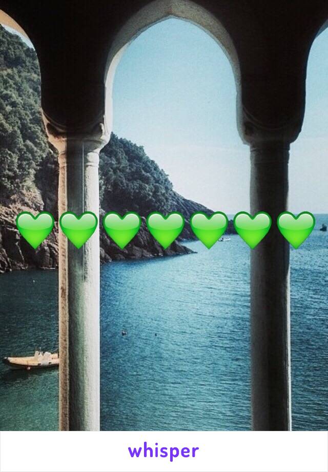 💚💚💚💚💚💚💚