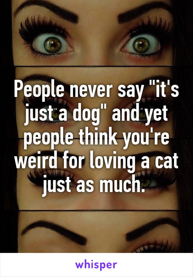 People never say "it's just a dog" and yet people think you're weird for loving a cat just as much. 