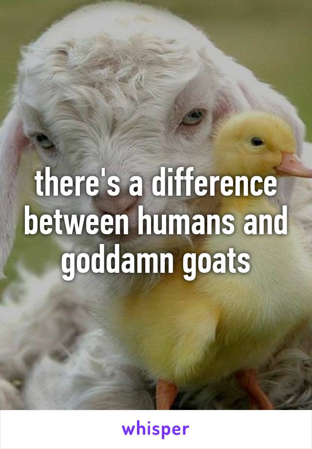 there's a difference between humans and goddamn goats