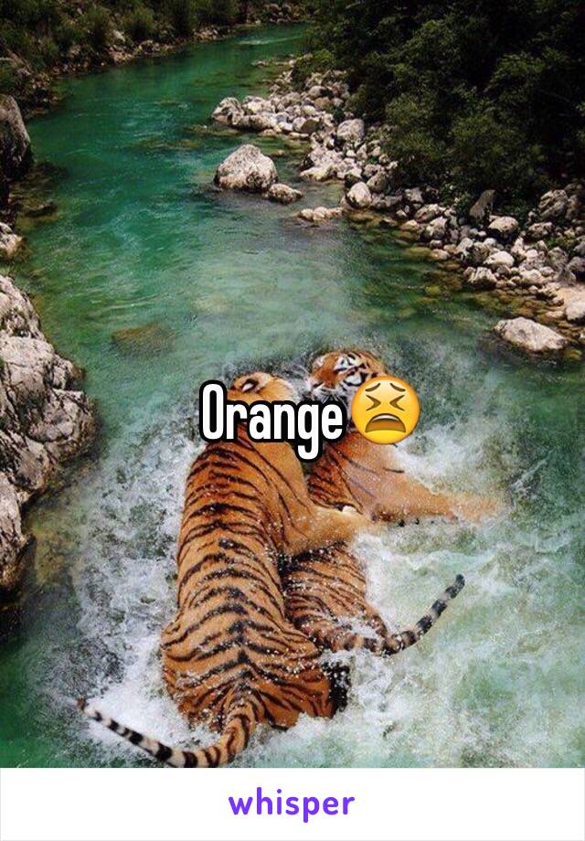 Orange😫