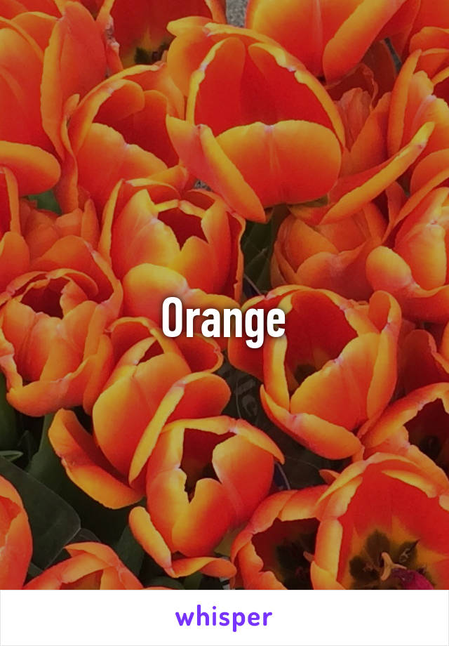 Orange