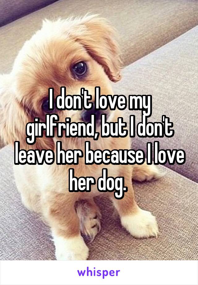 I don't love my girlfriend, but I don't leave her because I love her dog. 