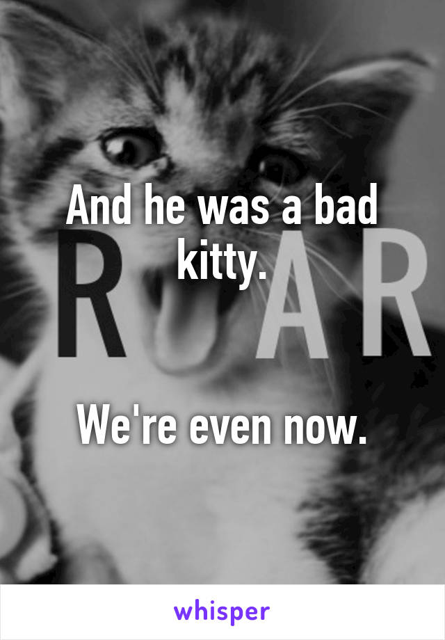 And he was a bad kitty.


We're even now.