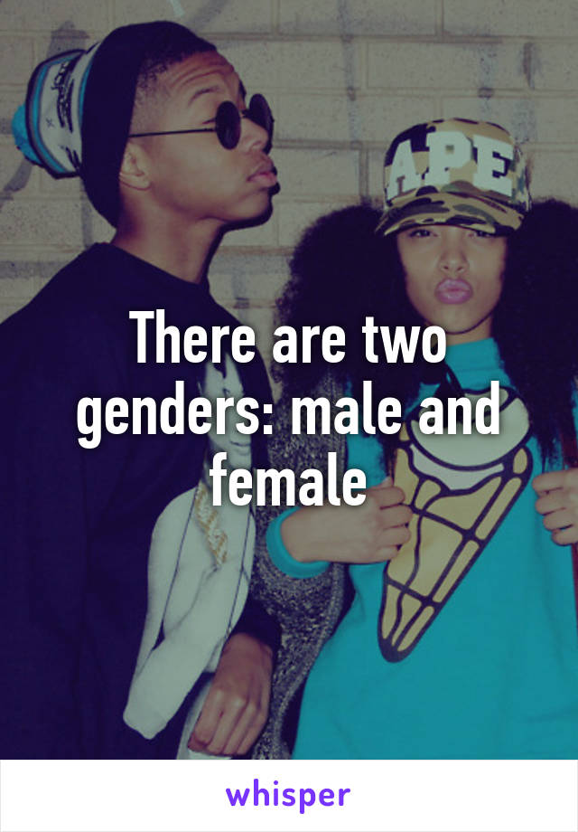 There are two genders: male and female