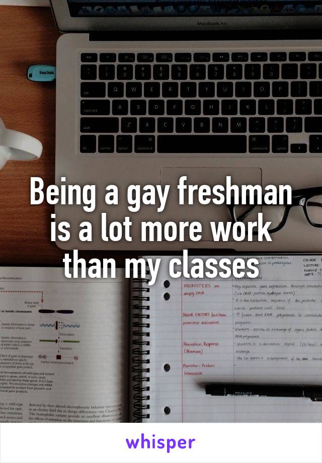 Being a gay freshman is a lot more work than my classes