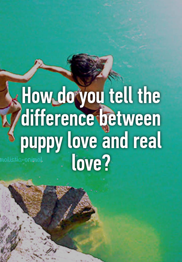 how-do-you-tell-the-difference-between-puppy-love-and-real-love