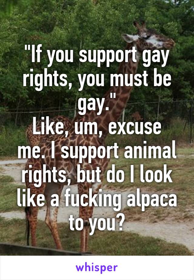 "If you support gay rights, you must be gay."
Like, um, excuse me. I support animal rights, but do I look like a fucking alpaca to you?