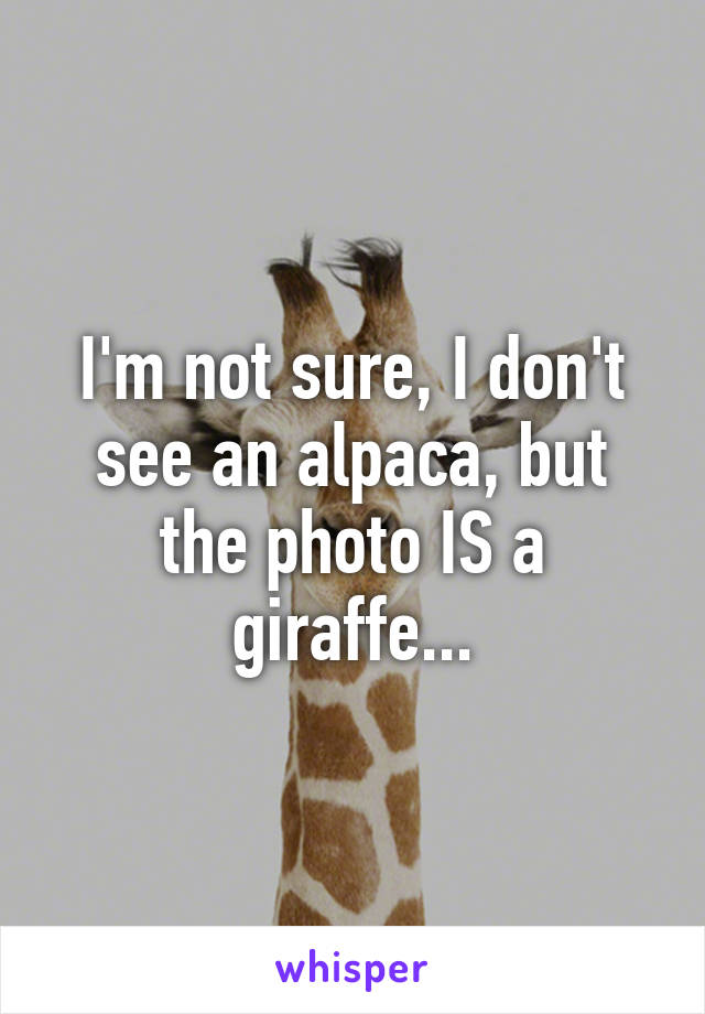 I'm not sure, I don't see an alpaca, but the photo IS a giraffe...