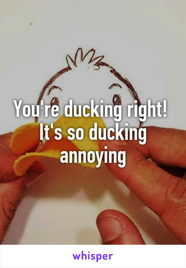 You're ducking right!  It's so ducking annoying