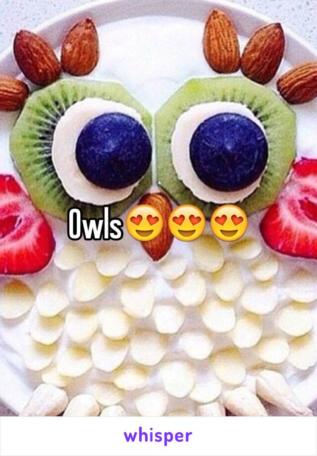 Owls😍😍😍