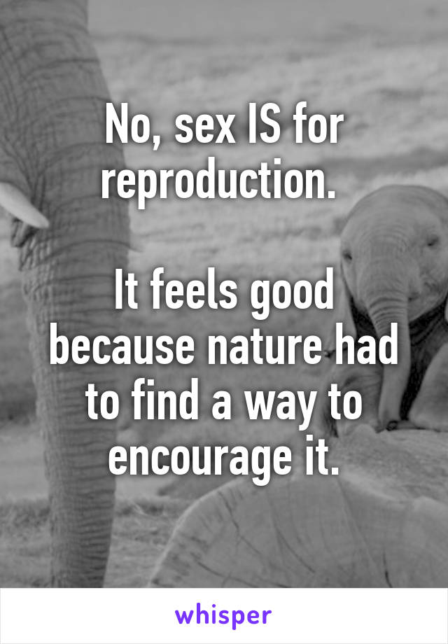 No, sex IS for reproduction. 

It feels good because nature had to find a way to encourage it.
