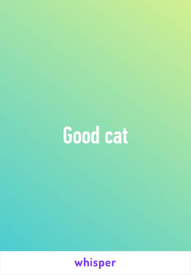 Good cat