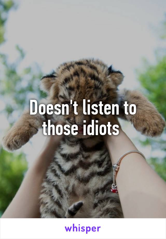 Doesn't listen to those idiots 