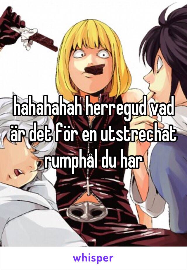 hahahahah herregud vad är det för en utstrechat rumphål du har