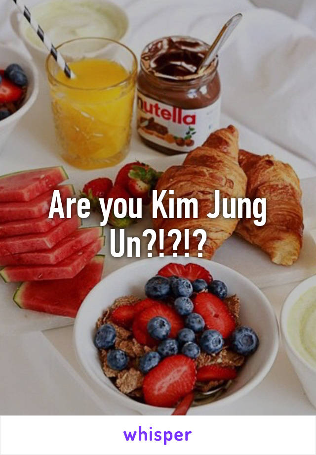 Are you Kim Jung Un?!?!?