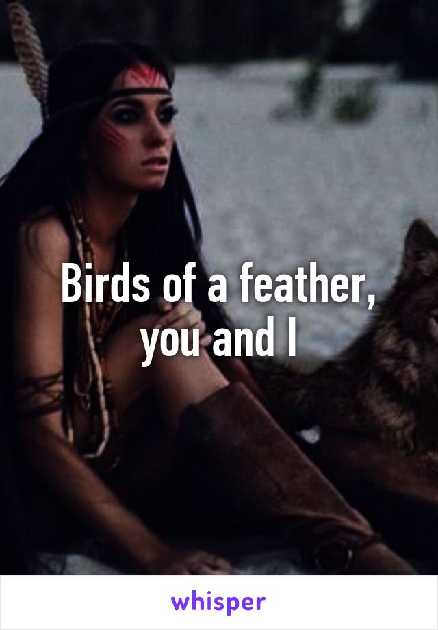 Birds of a feather, you and I