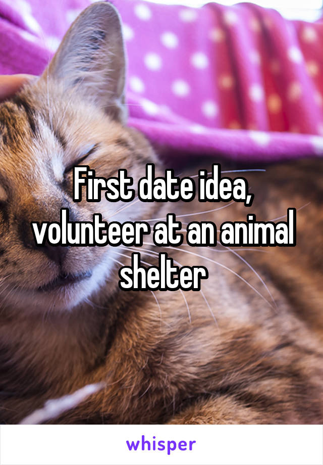 First date idea, volunteer at an animal shelter