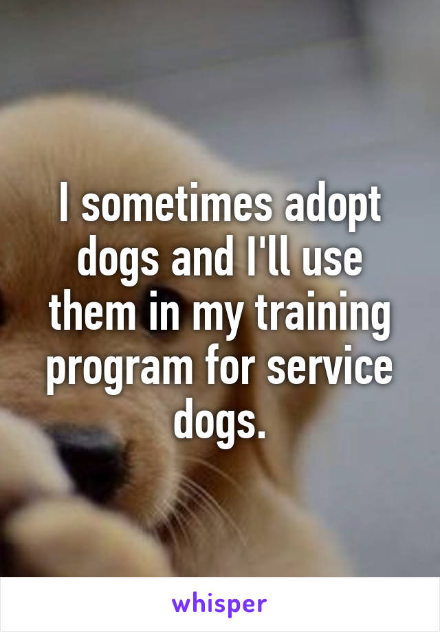 I sometimes adopt dogs and I'll use them in my training program for service dogs.