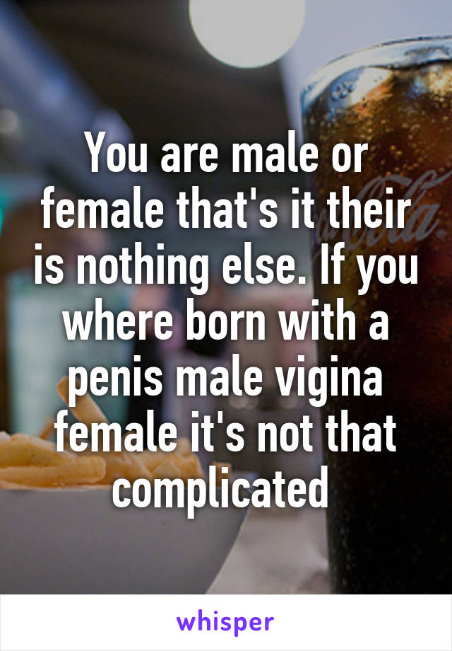 You are male or female that's it their is nothing else. If you where born with a penis male vigina female it's not that complicated 