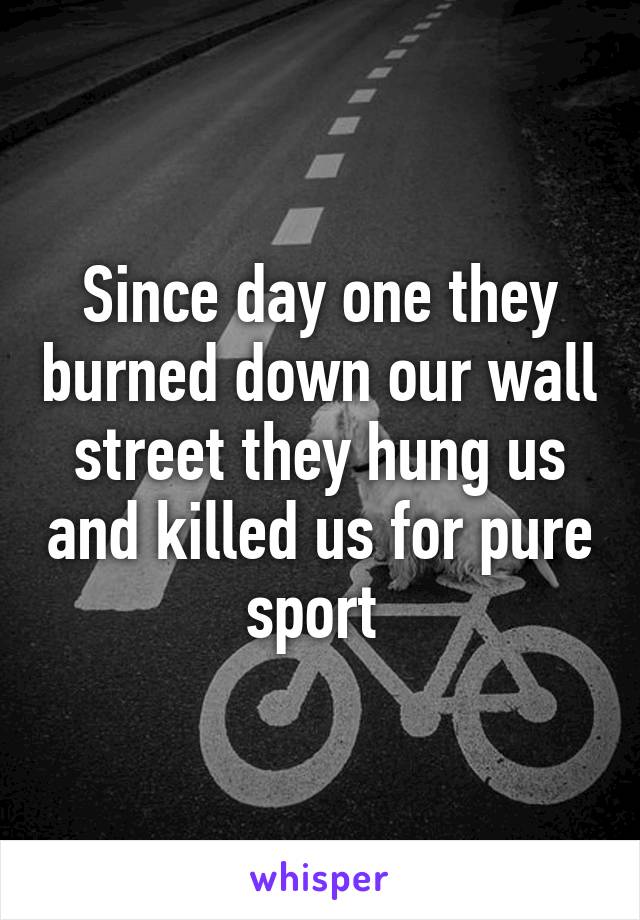 Since day one they burned down our wall street they hung us and killed us for pure sport 