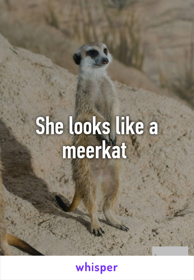 She looks like a meerkat 