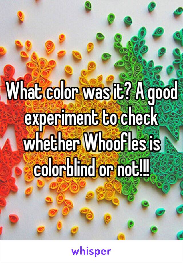 What color was it? A good experiment to check whether Whoofles is colorblind or not!!!