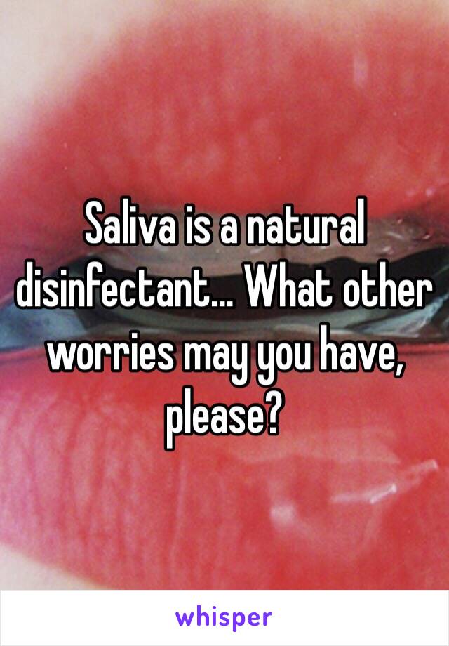 Saliva is a natural disinfectant... What other worries may you have, please?