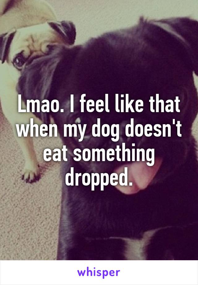 Lmao. I feel like that when my dog doesn't eat something dropped.