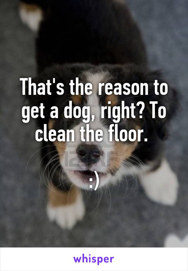 That's the reason to get a dog, right? To clean the floor. 

:)
