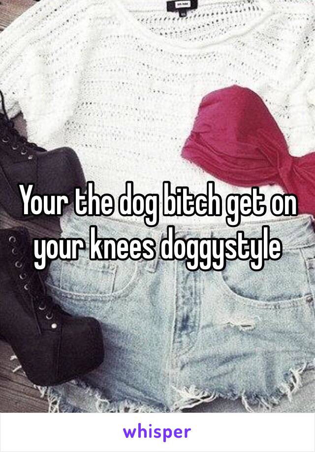 Your the dog bitch get on your knees doggystyle