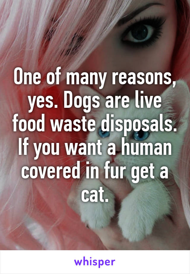 One of many reasons, yes. Dogs are live food waste disposals.
If you want a human covered in fur get a cat.
