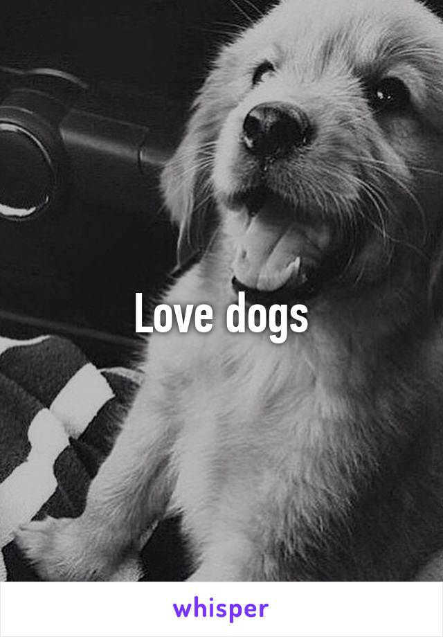 Love dogs