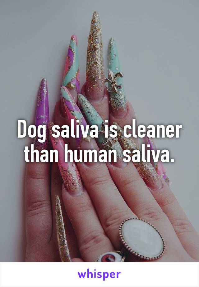 Dog saliva is cleaner than human saliva.