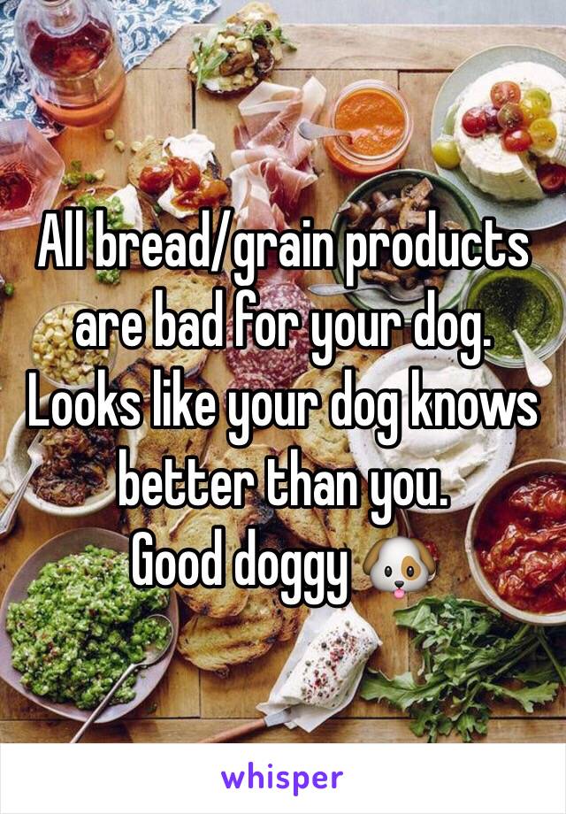 All bread/grain products are bad for your dog. 
Looks like your dog knows better than you.
Good doggy 🐶