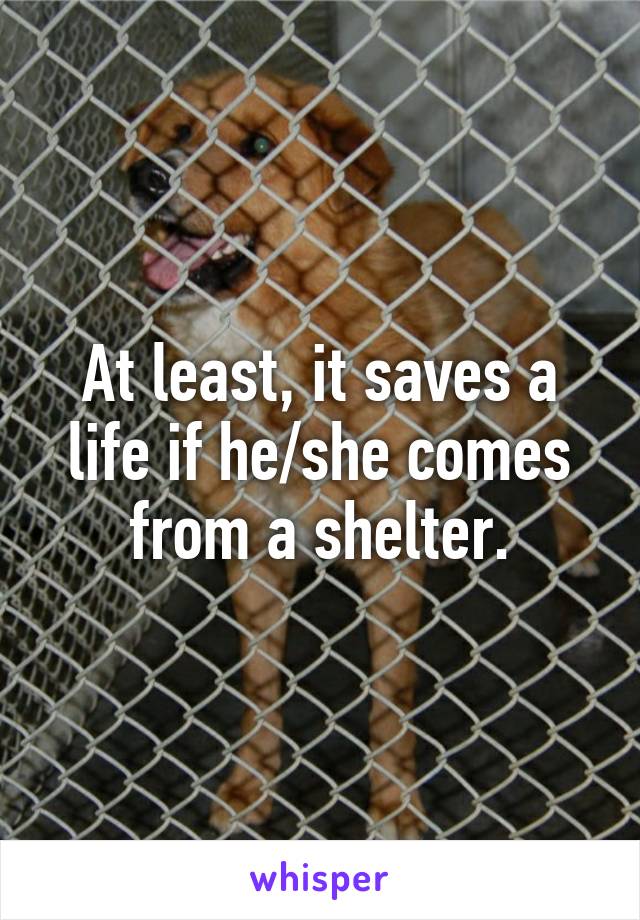 At least, it saves a life if he/she comes from a shelter.