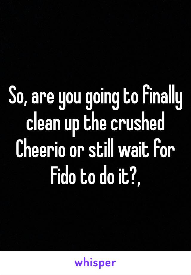 So, are you going to finally clean up the crushed Cheerio or still wait for Fido to do it?,