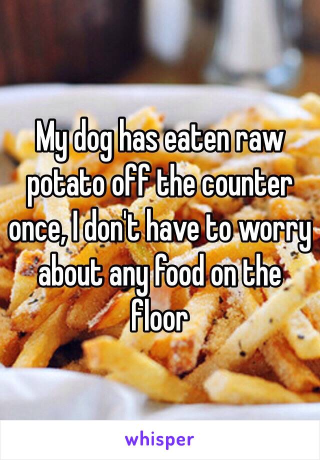 My dog has eaten raw potato off the counter once, I don't have to worry about any food on the floor