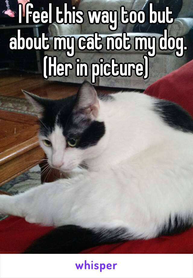 I feel this way too but about my cat not my dog.
(Her in picture)